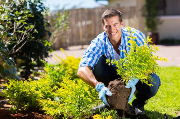 Entreprise multiservices pour petit travaux de jardinage pour particulier à Levallois-Perret